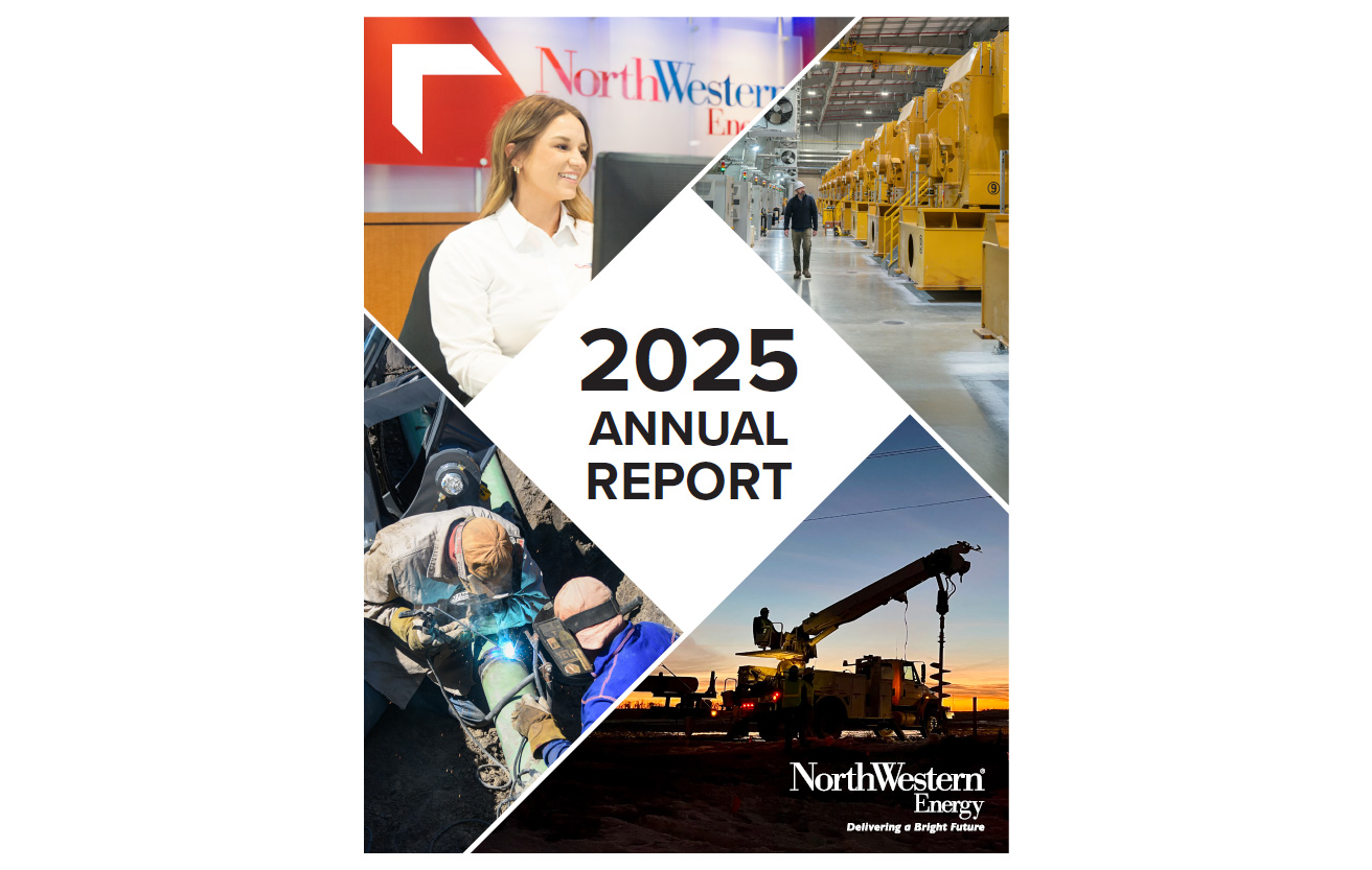 2025 Annual Report cover